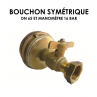 Bouchon symétrique DN 65 équipé manomètre 16 bar-01
