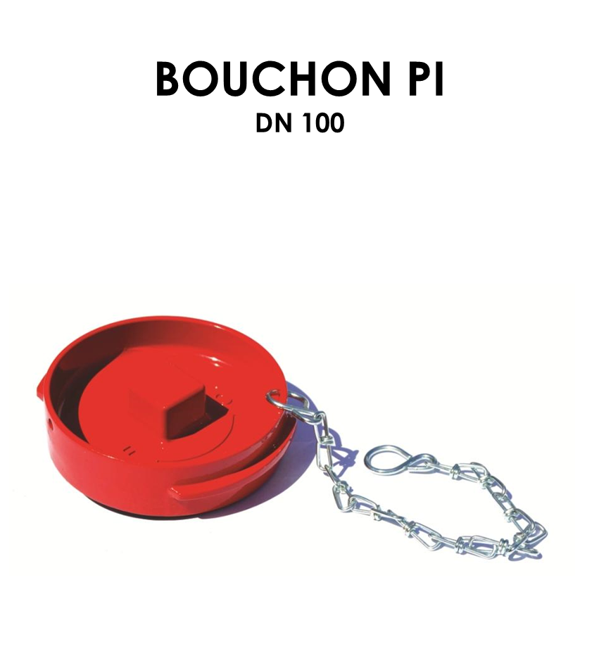 Bouchon PI DN 100-01